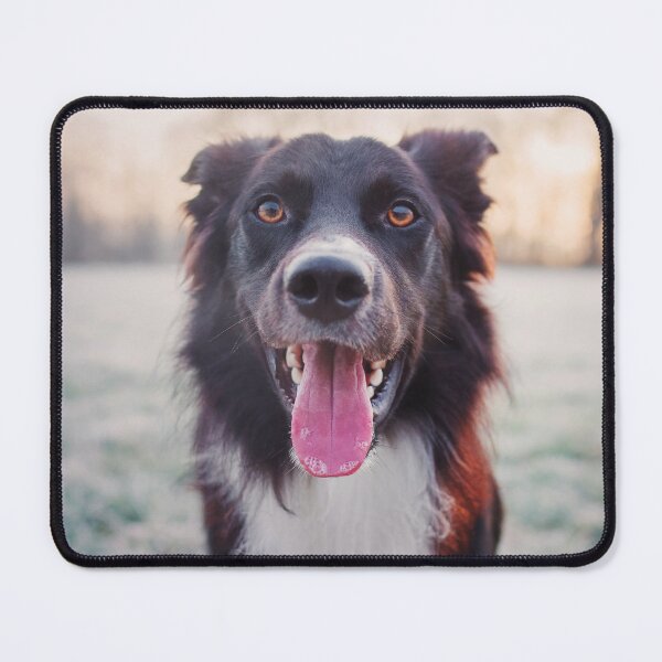 Item preview,  Overjoyed border collie designed and sold by 1STunningART.