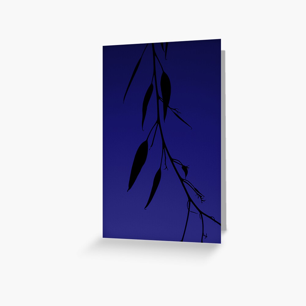 Blue gum Greeting Card