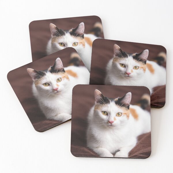 Item preview, kitty indoors designed and sold by 1STunningART.