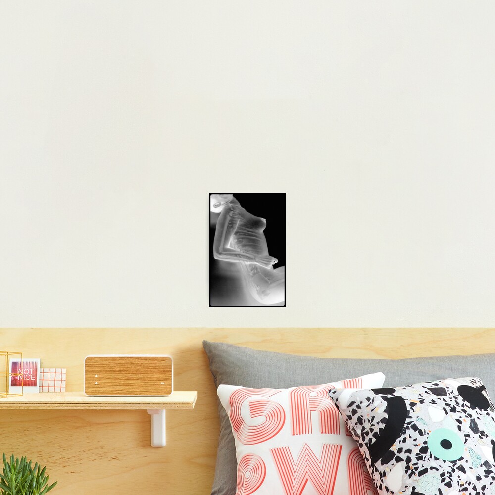 Item preview, Photographic Print designed and sold by Raul.