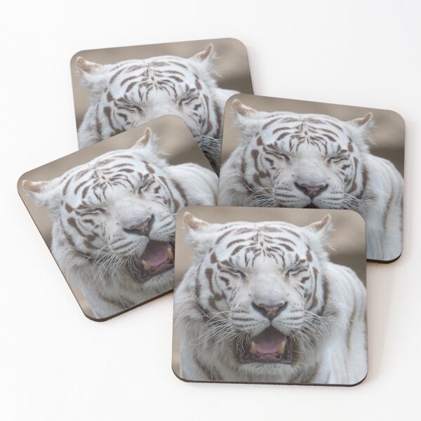 Item preview, white tiger roars designed and sold by OskiOnTour.