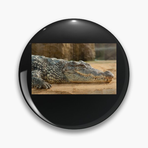 Item preview, Nile Crocodile Sticker designed and sold by HajiHajiyev.