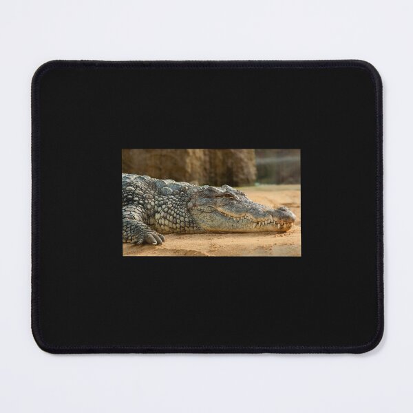 Item preview, Nile Crocodile Sticker designed and sold by HajiHajiyev.