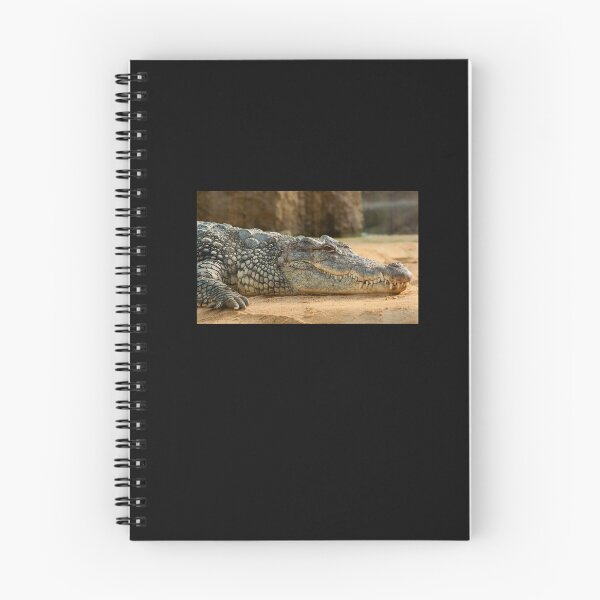 Item preview, Nile Crocodile Sticker designed and sold by HajiHajiyev.