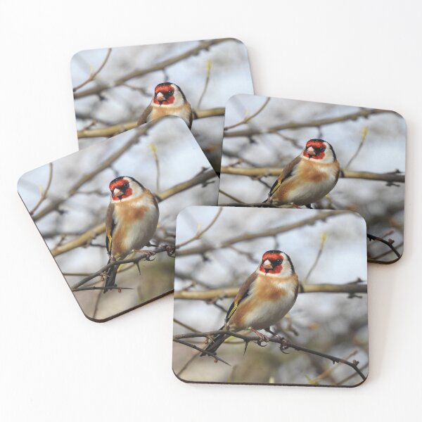Item preview, Goldfinch on branch designed and sold by TwistedClassics.