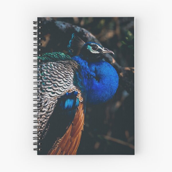 Item preview, Portrait of Peacock designed and sold by kasthu.