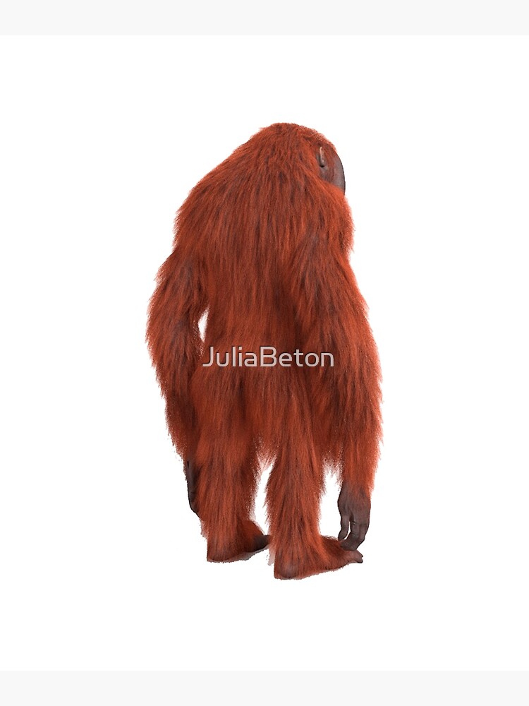 "orangutan monkey stinky back" Poster for Sale by JuliaBeton | Redbubble