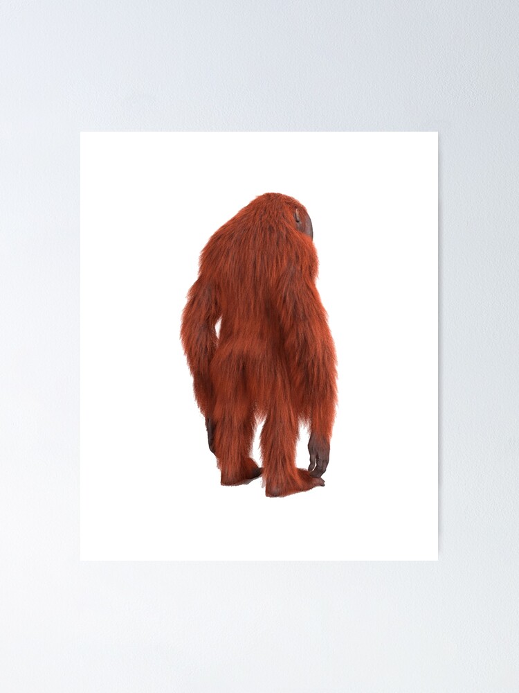 Orangutan Monkey Stinky Back Poster For Sale By Juliabeton Redbubble