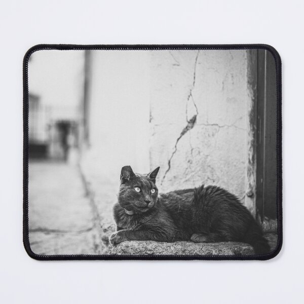 Item preview, Skiathos -  cats of Skiathos designed and sold by skiathoscrafts.