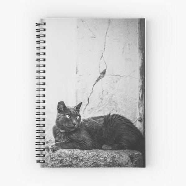 Item preview, Skiathos -  cats of Skiathos designed and sold by skiathoscrafts.