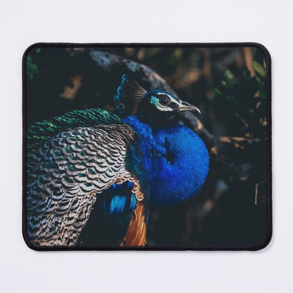 Item preview, Portrait of Peacock designed and sold by kasthu.