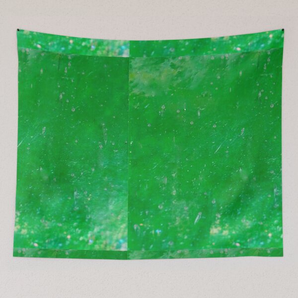Item preview, Evangelical Greening of Amer designed and sold by DayColors.