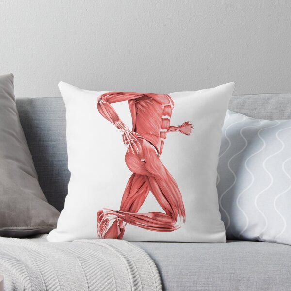 Item preview, STK700347H-Medical illustration of male muscles running, side view. designed and sold by StocktrekImages.