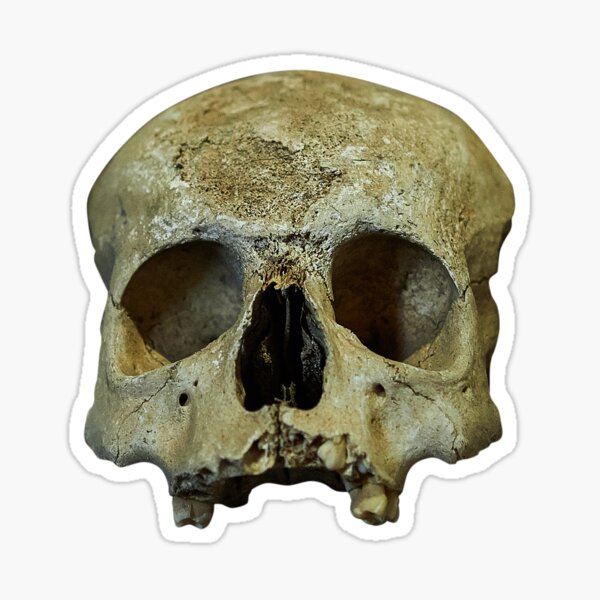 Sedlec Ossuary Skulls Photo Art, Human Bone Church Mystery Skulls Art, Halloween Skull Sticker