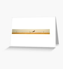 Along the Fence Line Greeting Card