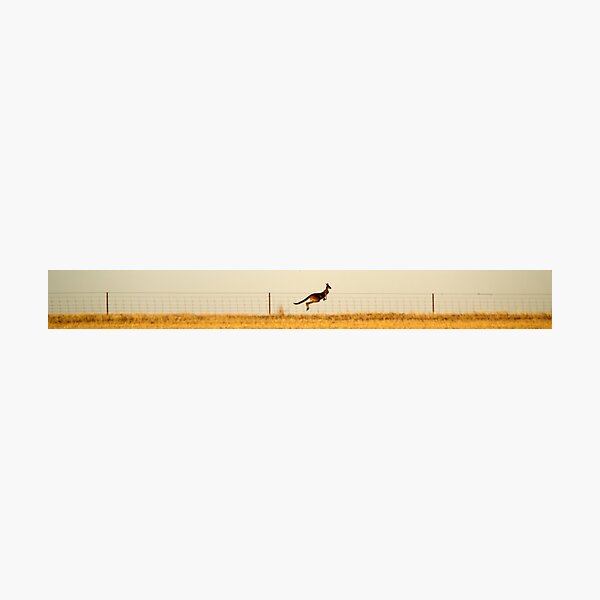 Along the Fence Line Photographic Print