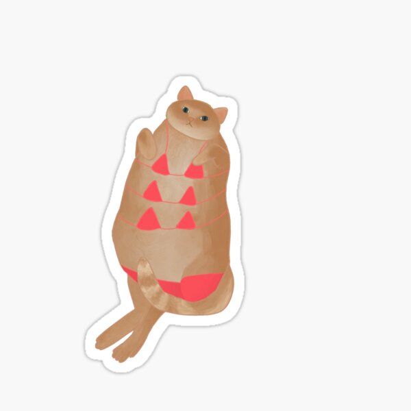 "bikini cat" Sticker by friendsofkorra Redbubble