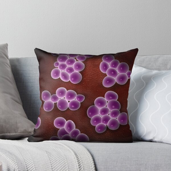 Item preview, Microscopic view of staphylococcus. designed and sold by StocktrekImages.