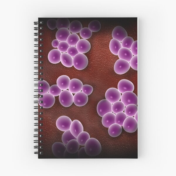 Item preview, Microscopic view of staphylococcus. designed and sold by StocktrekImages.