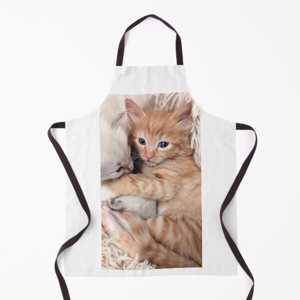 Item preview, Ragdoll kitten & Ginger ragdoll Mainecoon kitten designed and sold by Fluffycat2020.