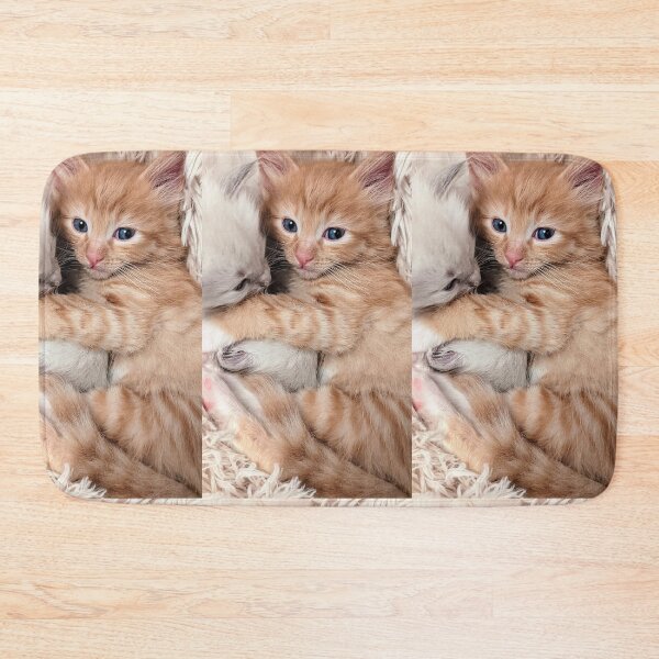 Item preview, Ragdoll kitten & Ginger ragdoll Mainecoon kitten designed and sold by Fluffycat2020.