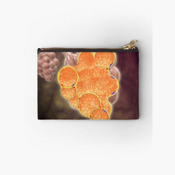 Item preview, Cross-section of the alveoli branches. designed and sold by StocktrekImages.