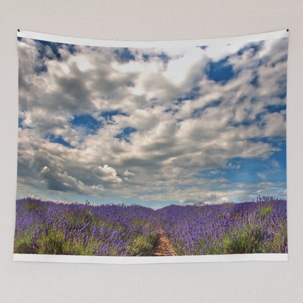 Item preview, Lavender Field Summer Flowers Cotswolds England designed and sold by AndyEvansPhotos.