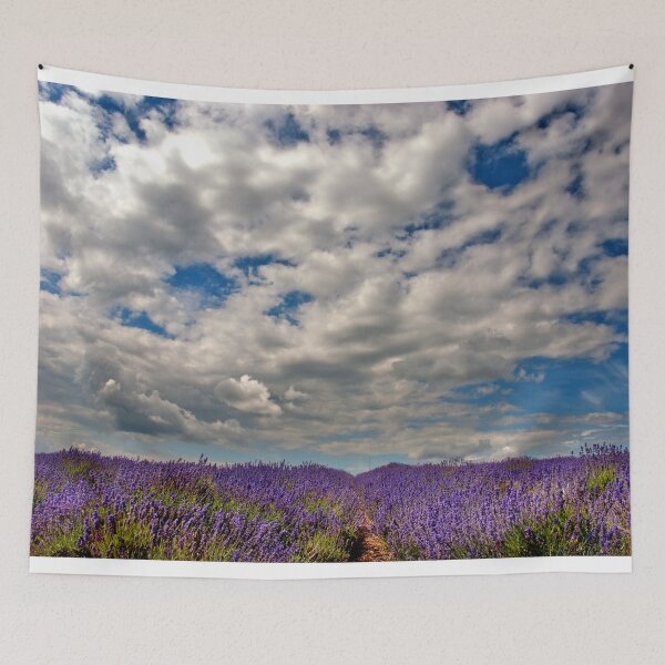 Item preview, Lavender Field Summer Flowers Cotswolds England designed and sold by AndyEvansPhotos.