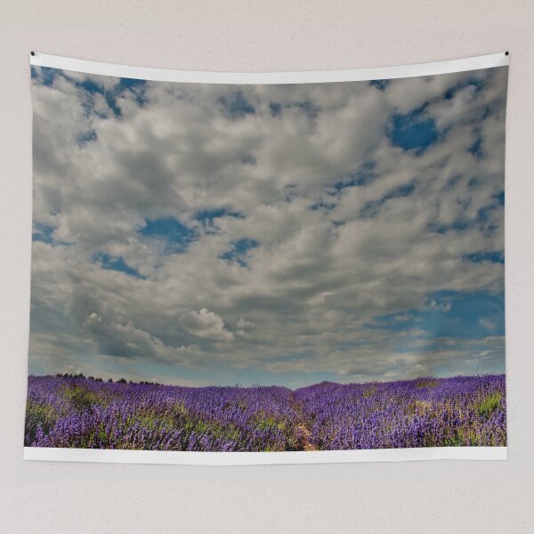 Item preview, Lavender Field Summer Flowers Cotswolds England designed and sold by AndyEvansPhotos.