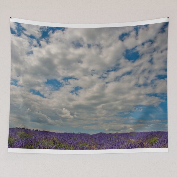 Item preview, Lavender Field Summer Flowers Cotswolds England designed and sold by AndyEvansPhotos.