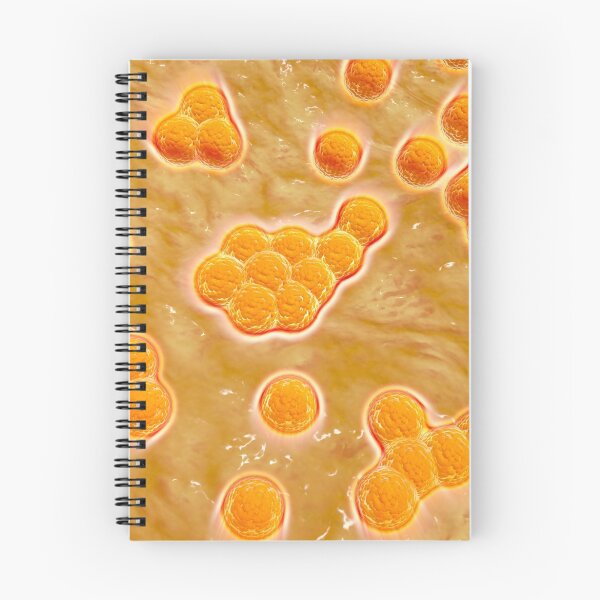 Item preview, Microscopic view of Methicillin-resistant Staphylococcus aureus. designed and sold by StocktrekImages.