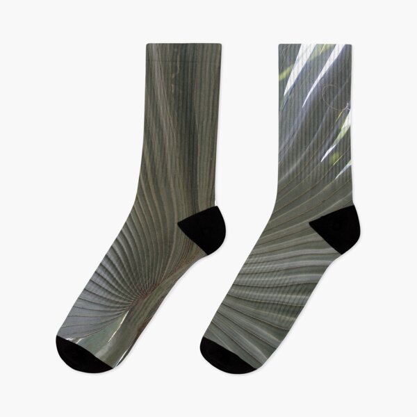 Item preview, Gray Frond DP150314-16 designed and sold by CSteenArt.