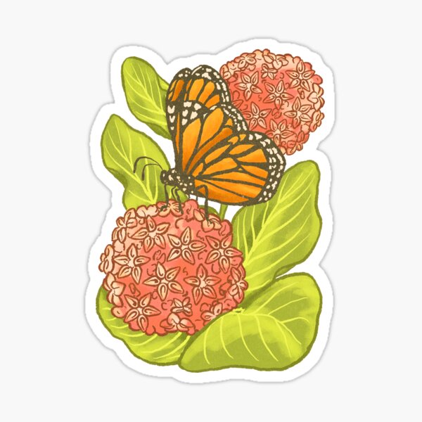 Stickers Northwest Monarch Butterfly Sticker