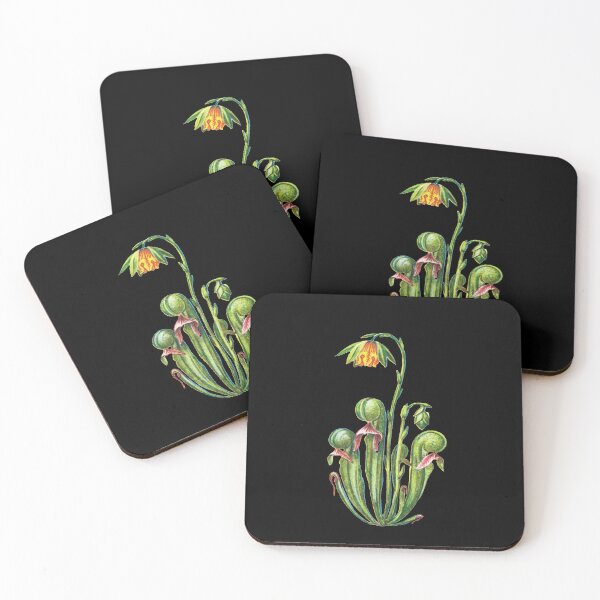 Item preview, Kopie von Cobra Lily Darlingtonia Californica Apparel Botanical Drawing Pitcher Plant designed and sold by Carnivorous  Plant Club ⭐⭐⭐⭐⭐.