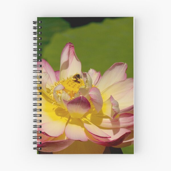 Item preview, Pink Lotus designed and sold by Judi Corrigan.