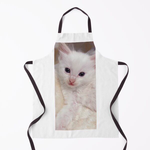 Item preview, Mainecoon ragdoll kitten designed and sold by Fluffycat2020.