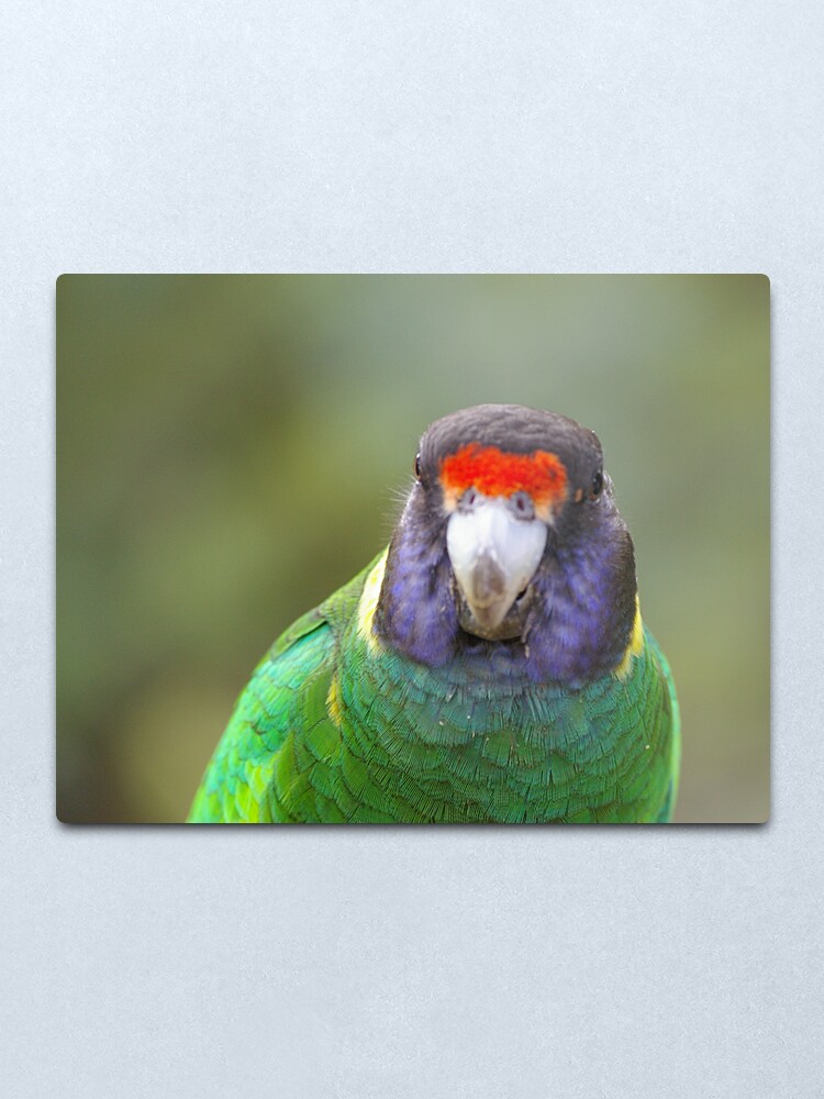 Alternate view of Twenty Eight Metal Print