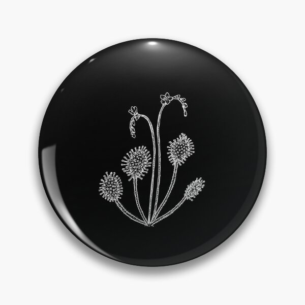 Item preview, Drosera rotundifolia round leaved sundew Plant Botanical Drawing Carnivorous Plant designed and sold by Carnivorous  Plant Club ⭐⭐⭐⭐⭐.