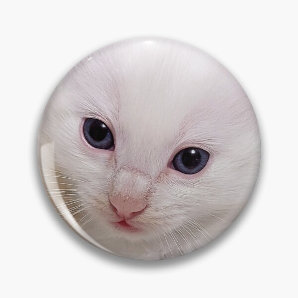 Item preview, Mainecoon ragdoll kitten designed and sold by Fluffycat2020.