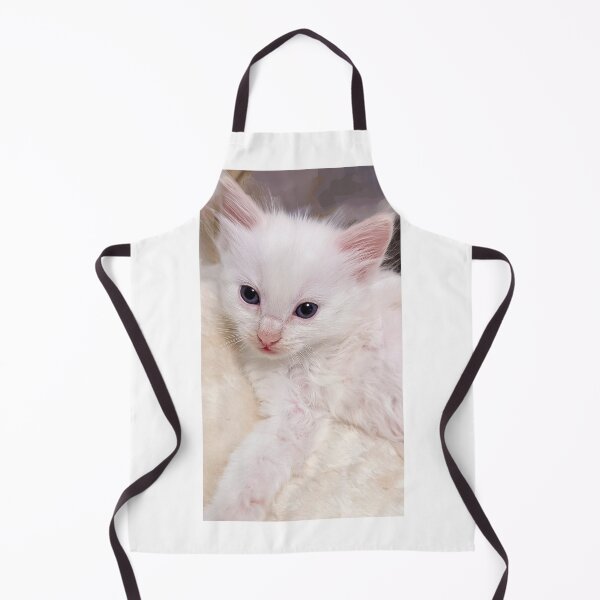 Item preview, Mainecoon ragdoll kitten designed and sold by Fluffycat2020.