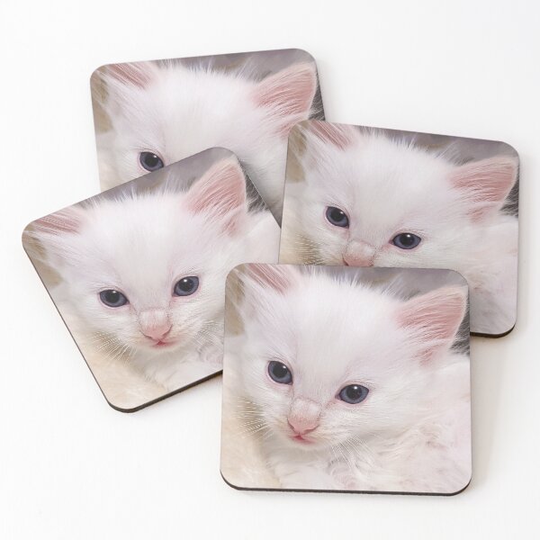 Item preview, Mainecoon ragdoll kitten designed and sold by Fluffycat2020.