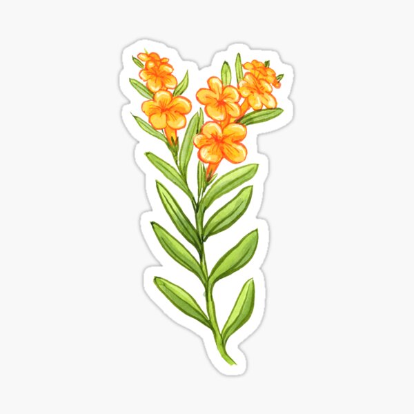 Item preview, Hoary Puccoon designed and sold by Prairie Friends for You and Your Home.