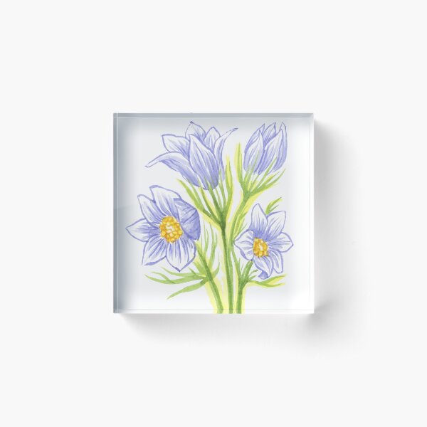 Item preview, Pasqueflowers designed and sold by Prairie Friends for You and Your Home.
