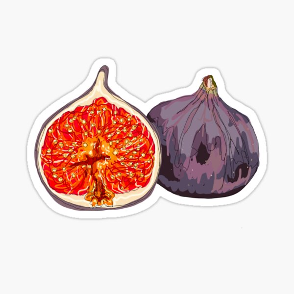 "Figs" Sticker for Sale by graetzart Redbubble