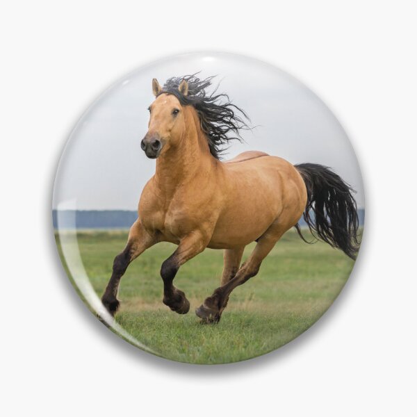 Item preview, Wild Horse Running in a Field near Ocean, Horse Lovers Gift designed and sold by LGMmugsdesign.