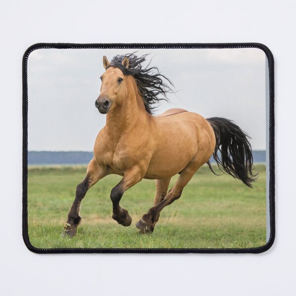 Item preview, Wild Horse Running in a Field near Ocean, Horse Lovers Gift designed and sold by LGMmugsdesign.
