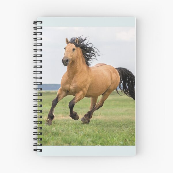 Item preview, Wild Horse Running in a Field near Ocean, Horse Lovers Gift designed and sold by LGMmugsdesign.