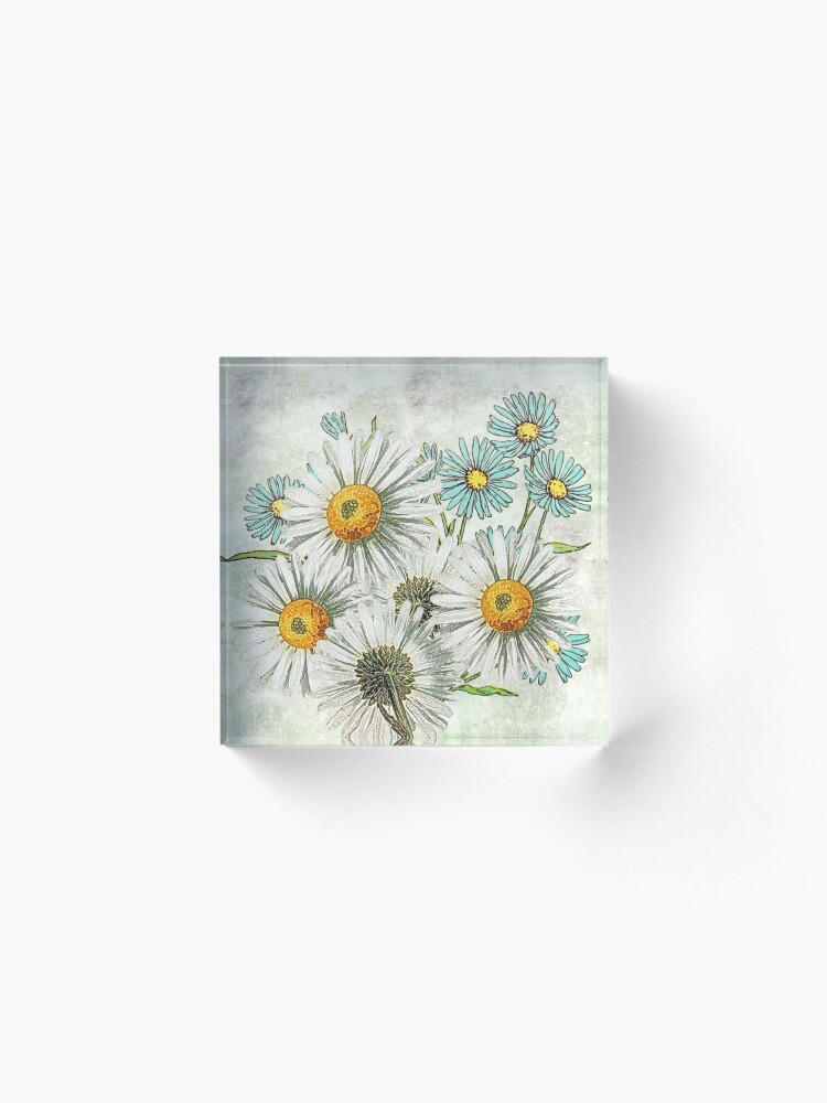 Alternate view of The Gools Acrylic Block