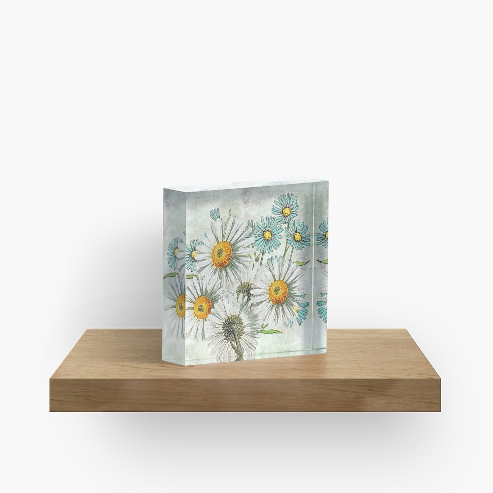 The Gools Acrylic Block