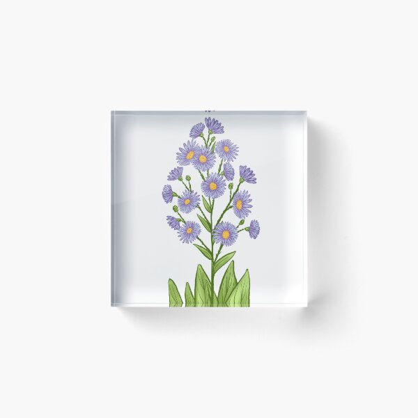 Item preview, Sky Blue Aster designed and sold by Prairie Friends for You and Your Home.